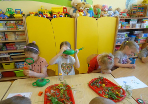 Dzieci obserwują rośliny przez lupę w sali przedszkolnej.